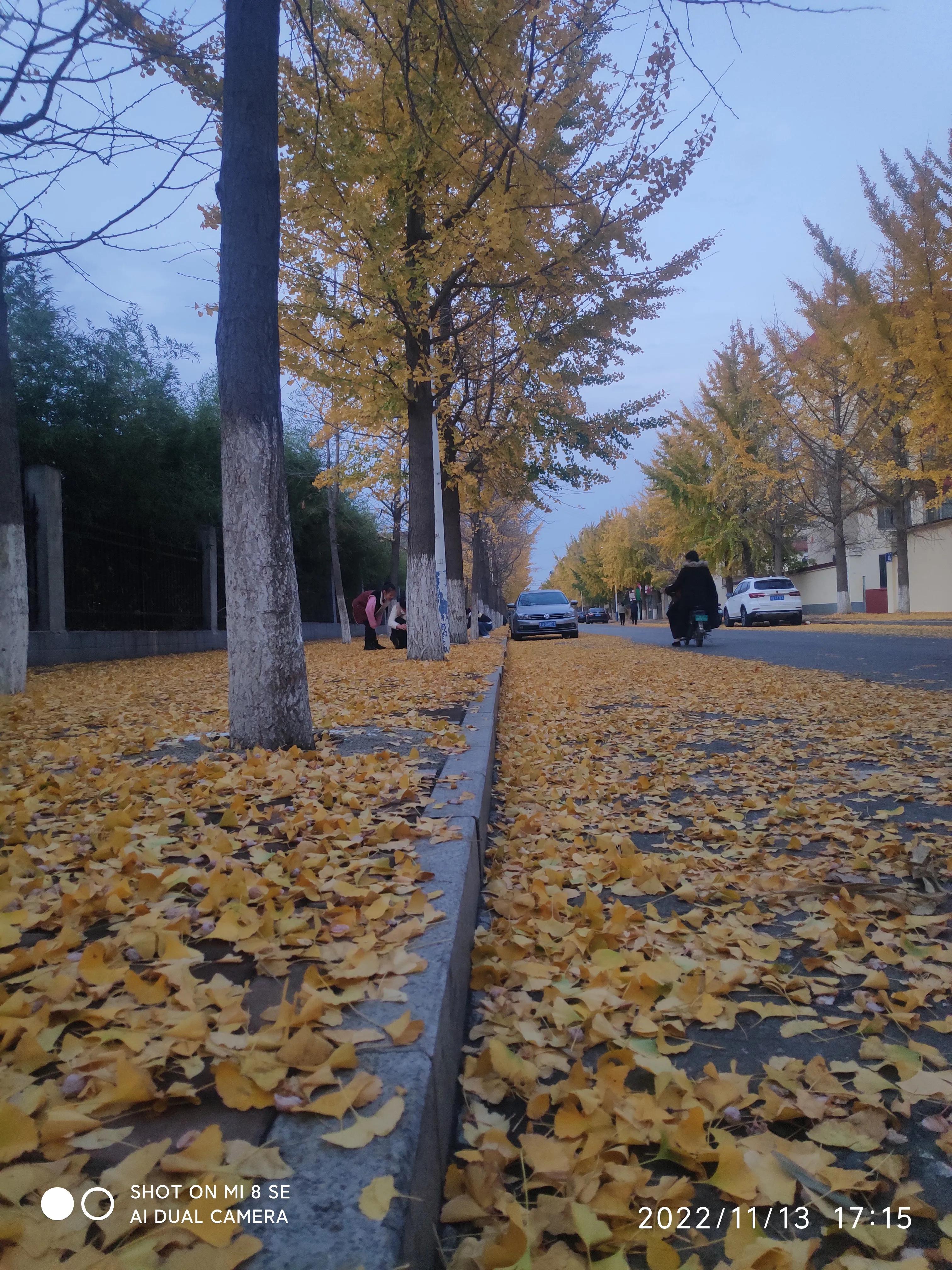 解封帖,解封记录怎么查