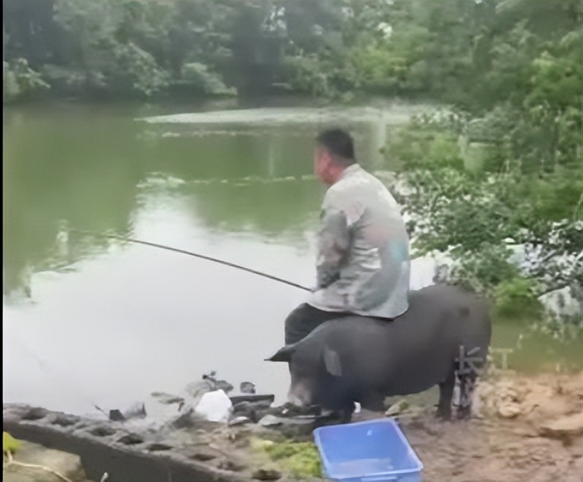 钓鱼一旦上瘾比赌博还可怕,钓鱼会上瘾吗怎么戒掉