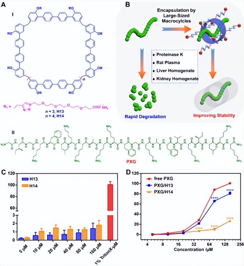 PXG/H13在非共价相互作用下，是如何有效阻止PXG反应的