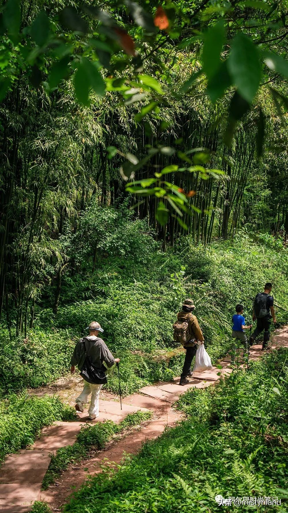 KOLONSPORT可隆,如何以一场山林徒步开启成都市场?