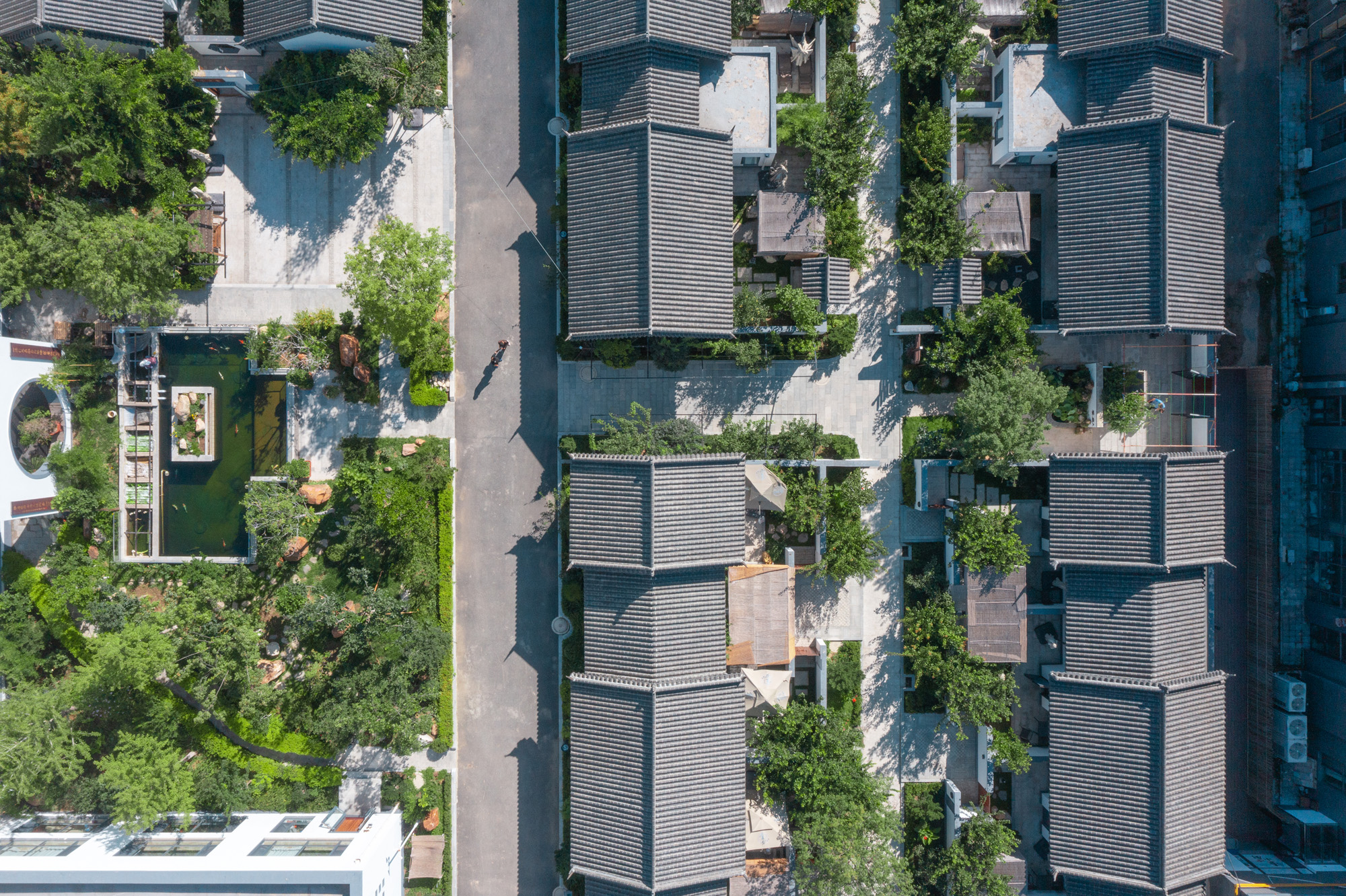 营口文化与美食,营口自然风景