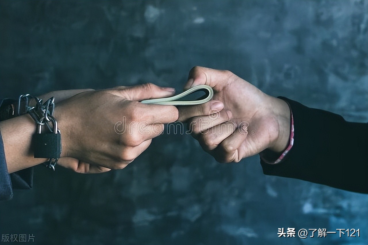 诈骗300万嘉兴小伙打赏女主播,小伙骗阿姨850万