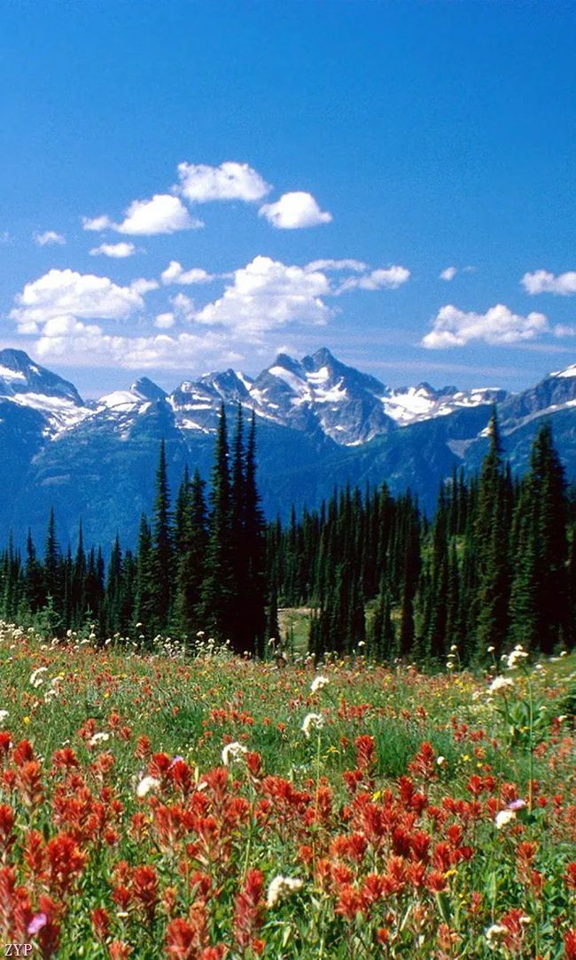 太美了100张人间美照,太美了最美中国红