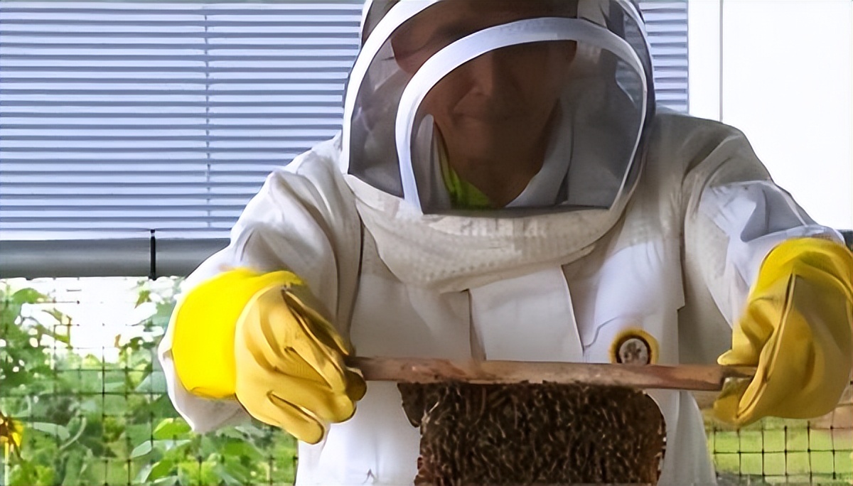 新加坡哪些工种比较赚钱,新加坡27个紧缺职业