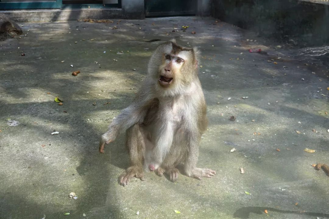 泰州动物园在哪里,泰州动物园在哪