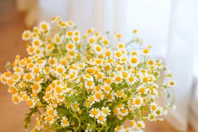 对待自己爱的女人,对待自己喜欢的人