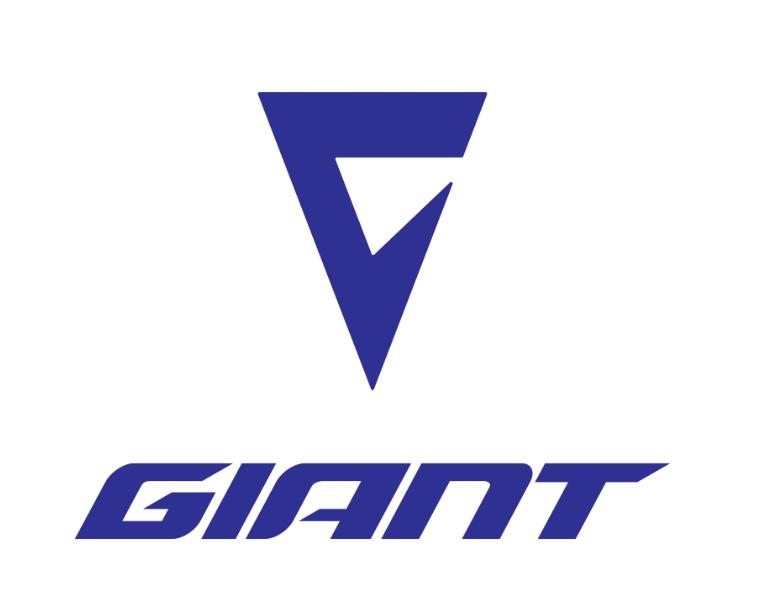 单车捷安特,捷安特普通单车