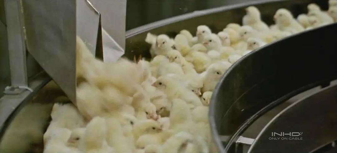 如果人类可以随意穿梭太空,如果人类进入外太空会怎么样