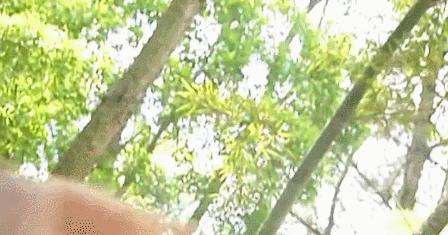 国产剧为什么那么烂,国产剧为什么全是烂片