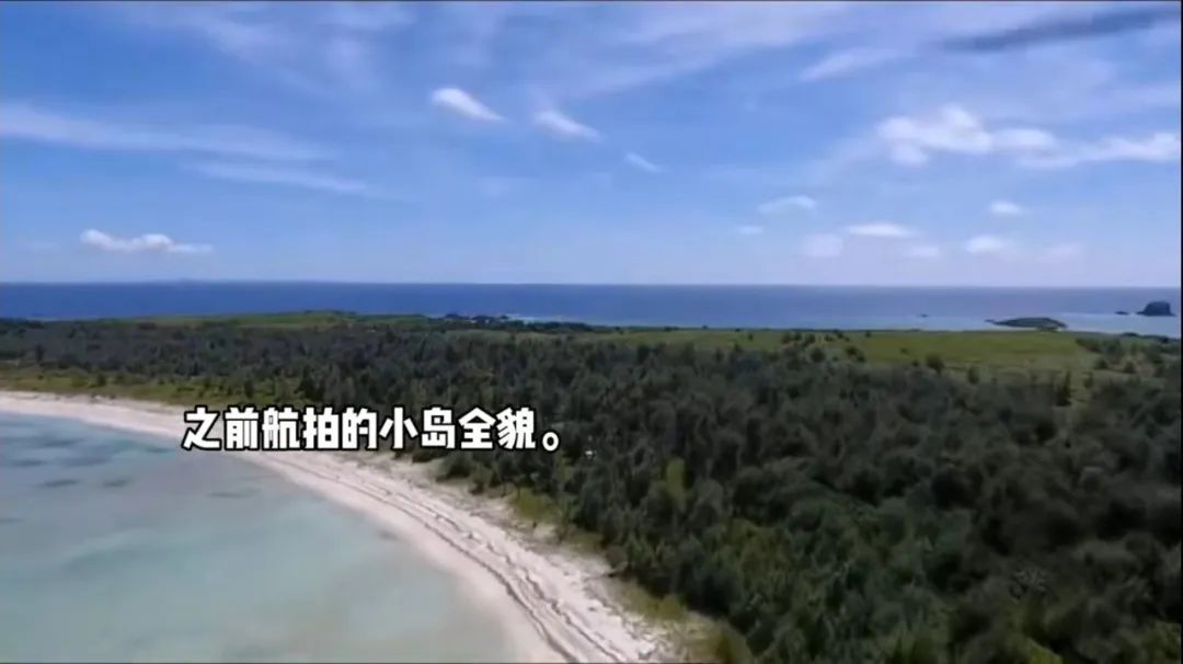 中国女子在日本买下70万平小岛，60万起拍，网友：羡慕极了