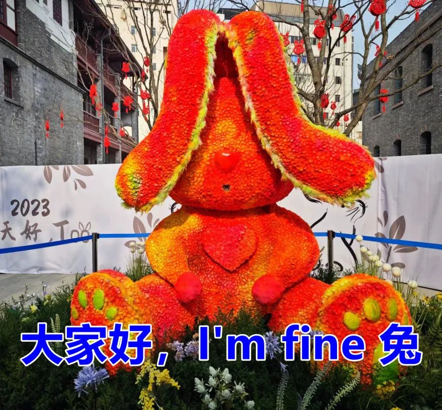 成都的人现在都在玩什么,最近成都人在玩什么