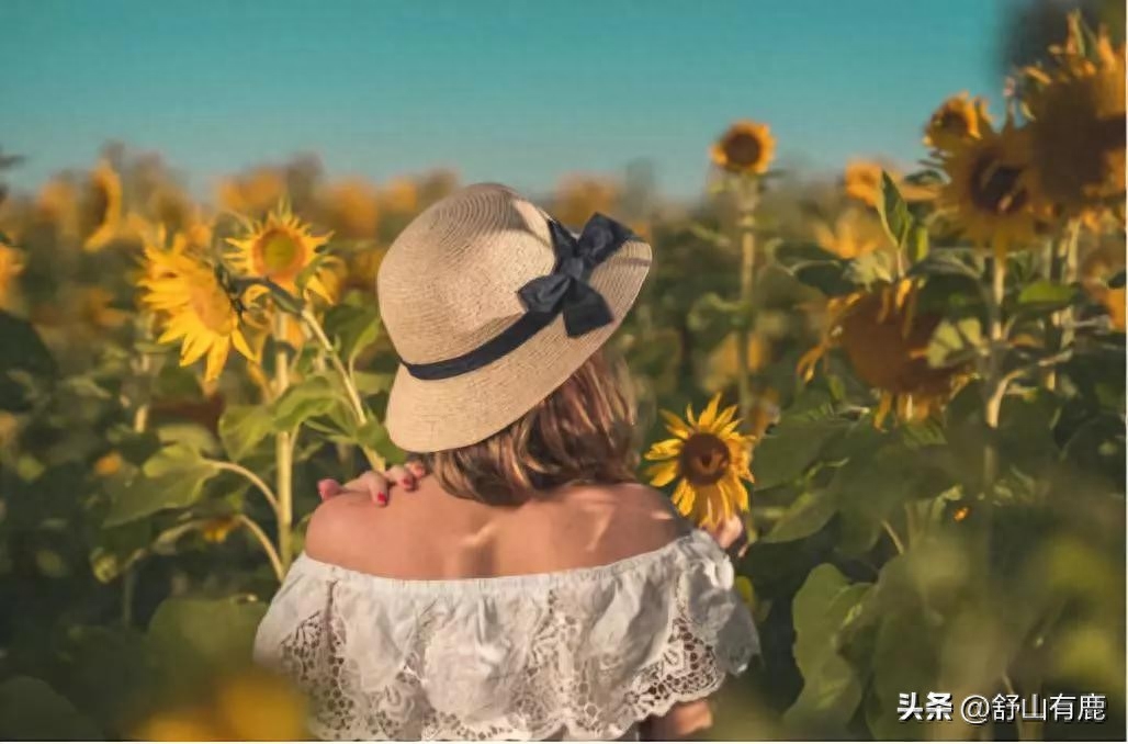 信发集团去年净利润赶超魏桥集团,魏桥铝业厉害还是信发铝业厉害