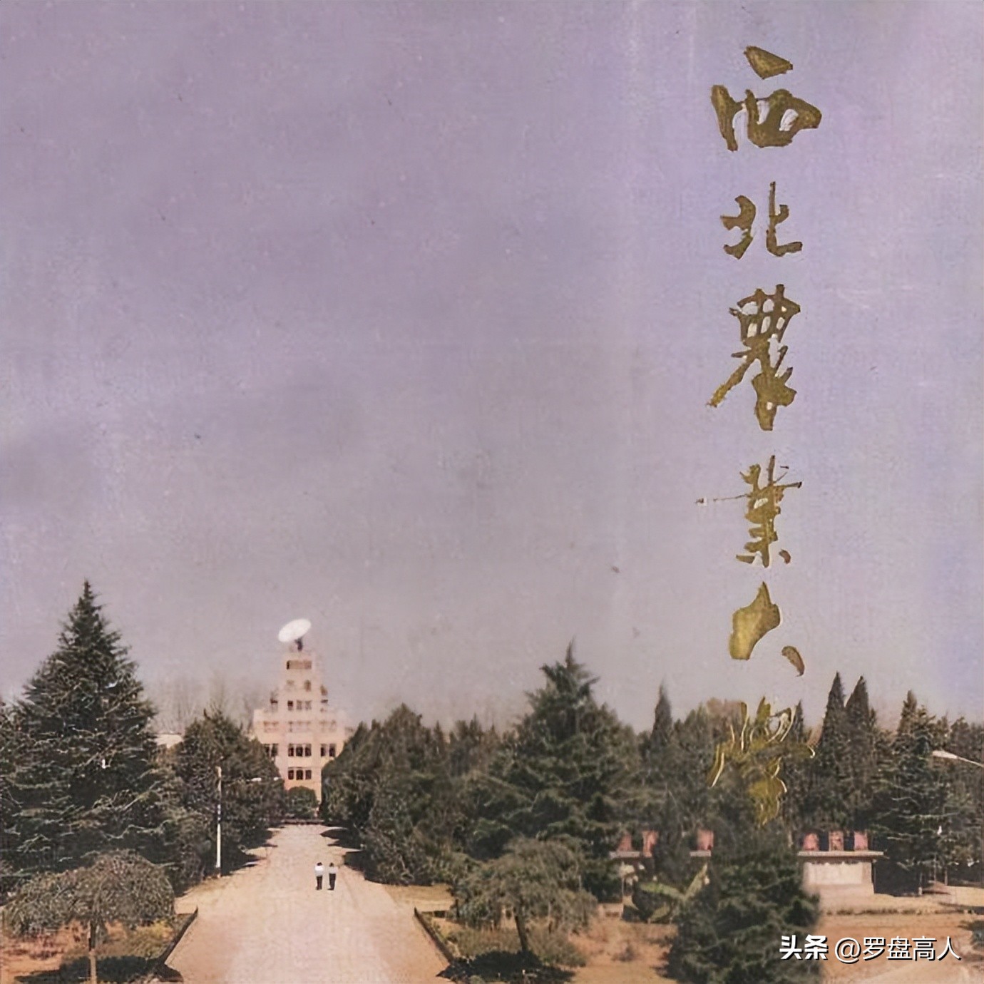 高校校园影像,高校美景照片视频