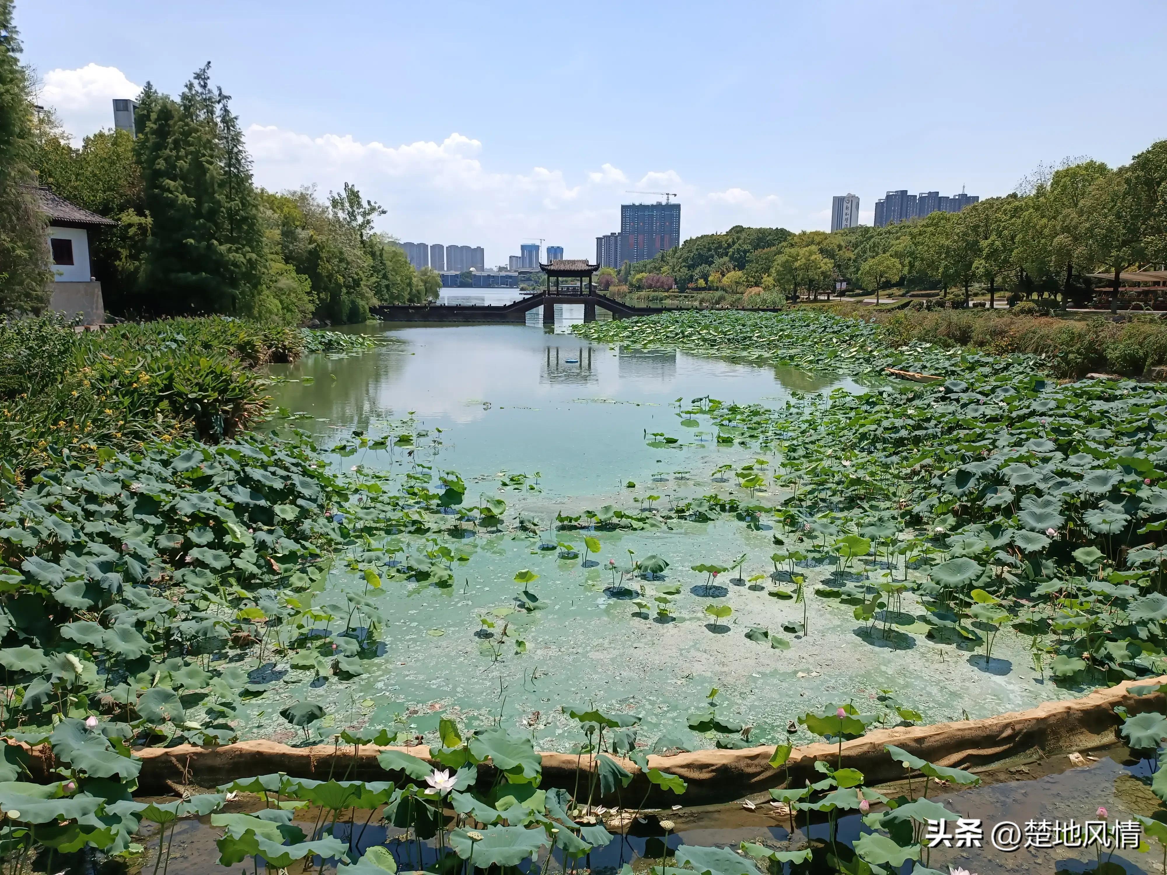 国家级武汉都市圈最大受益者：黄冈市，有望成为下个省域副中心