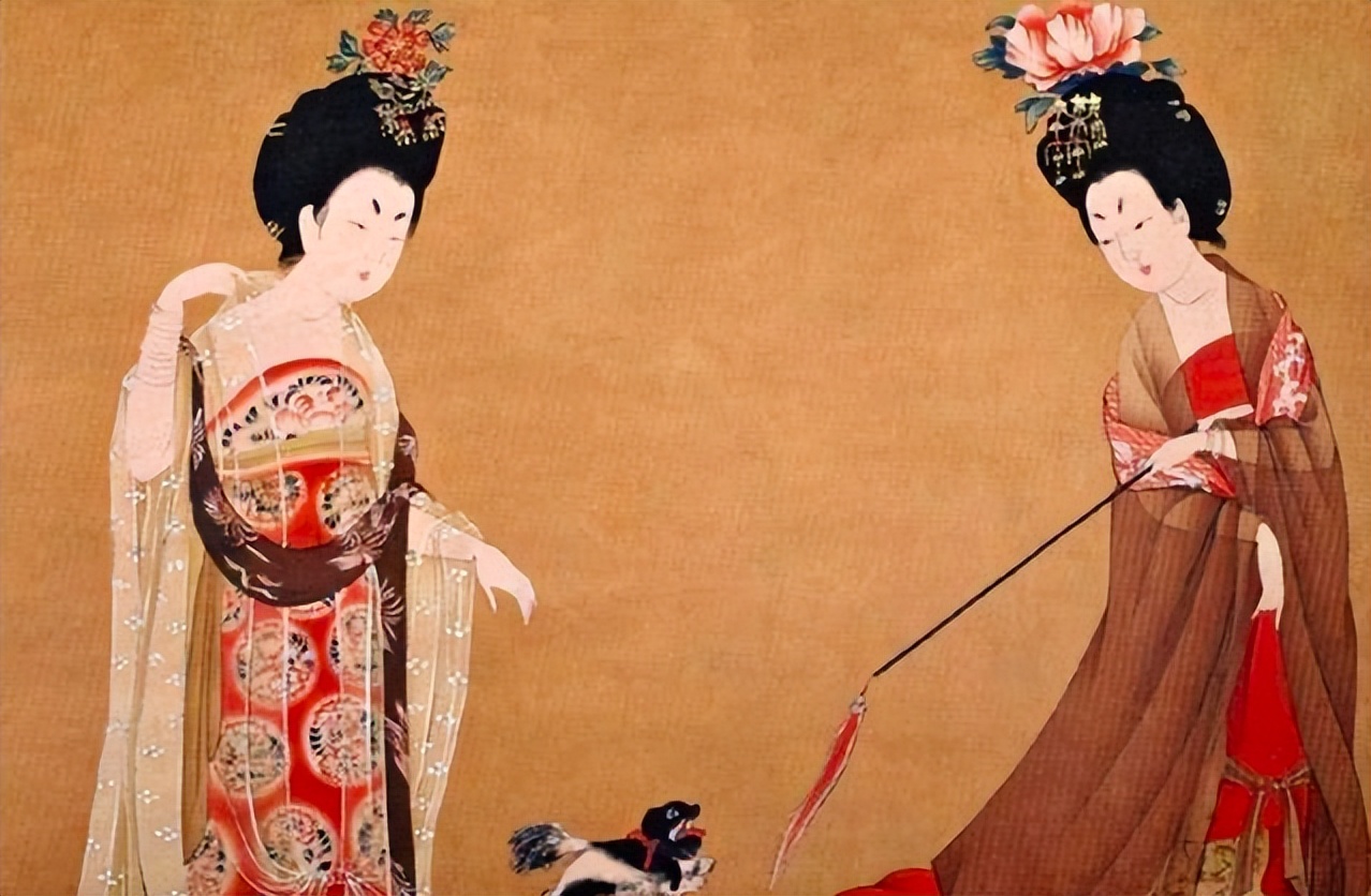 唐代贵族妇女服装分析,唐朝妇女服饰色彩