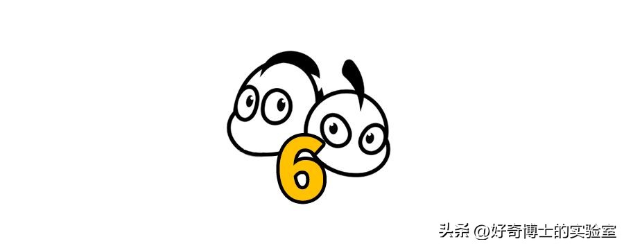 沉浸式体验死囚的最后24小时,尸体火化的真实故事