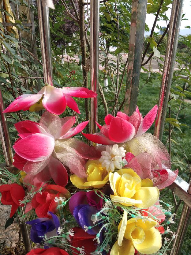 《她这样是嫌弃婆母吗》