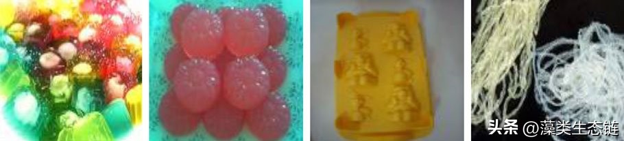 藻类基础知识,鱼塘藻类培养