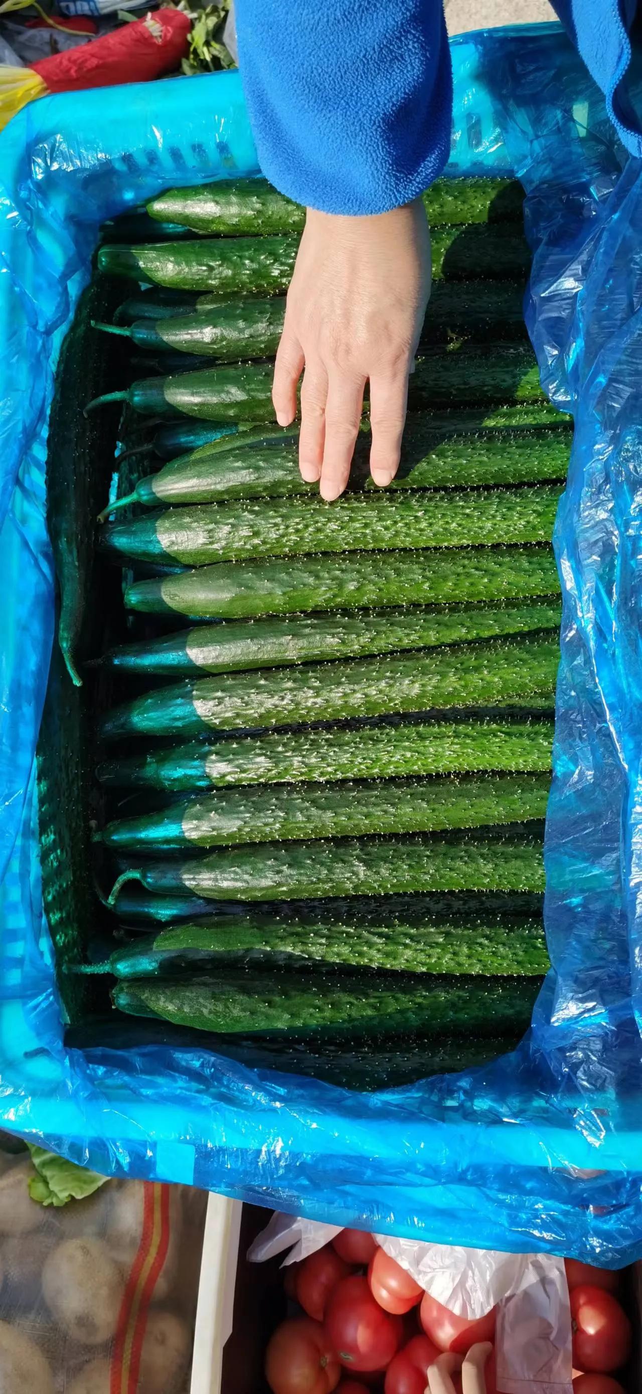 坚守一线物业人的执着,勇担使命积极作为