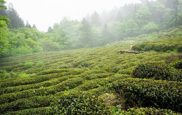 江西省算不算江南,江西省属于江南吗