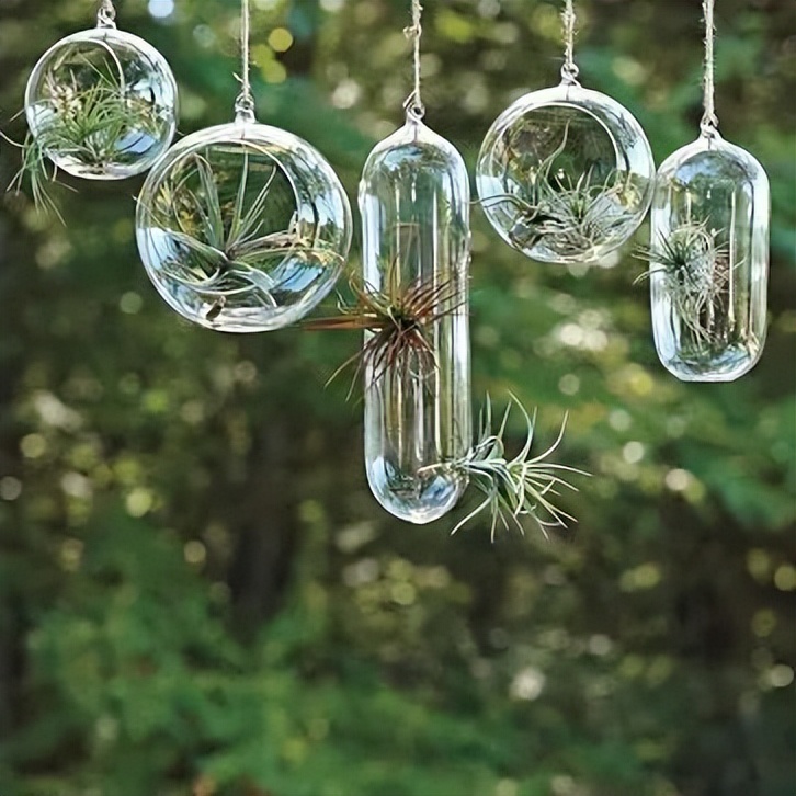 棋逢对手第4部97,棋逢对手40集免费观看