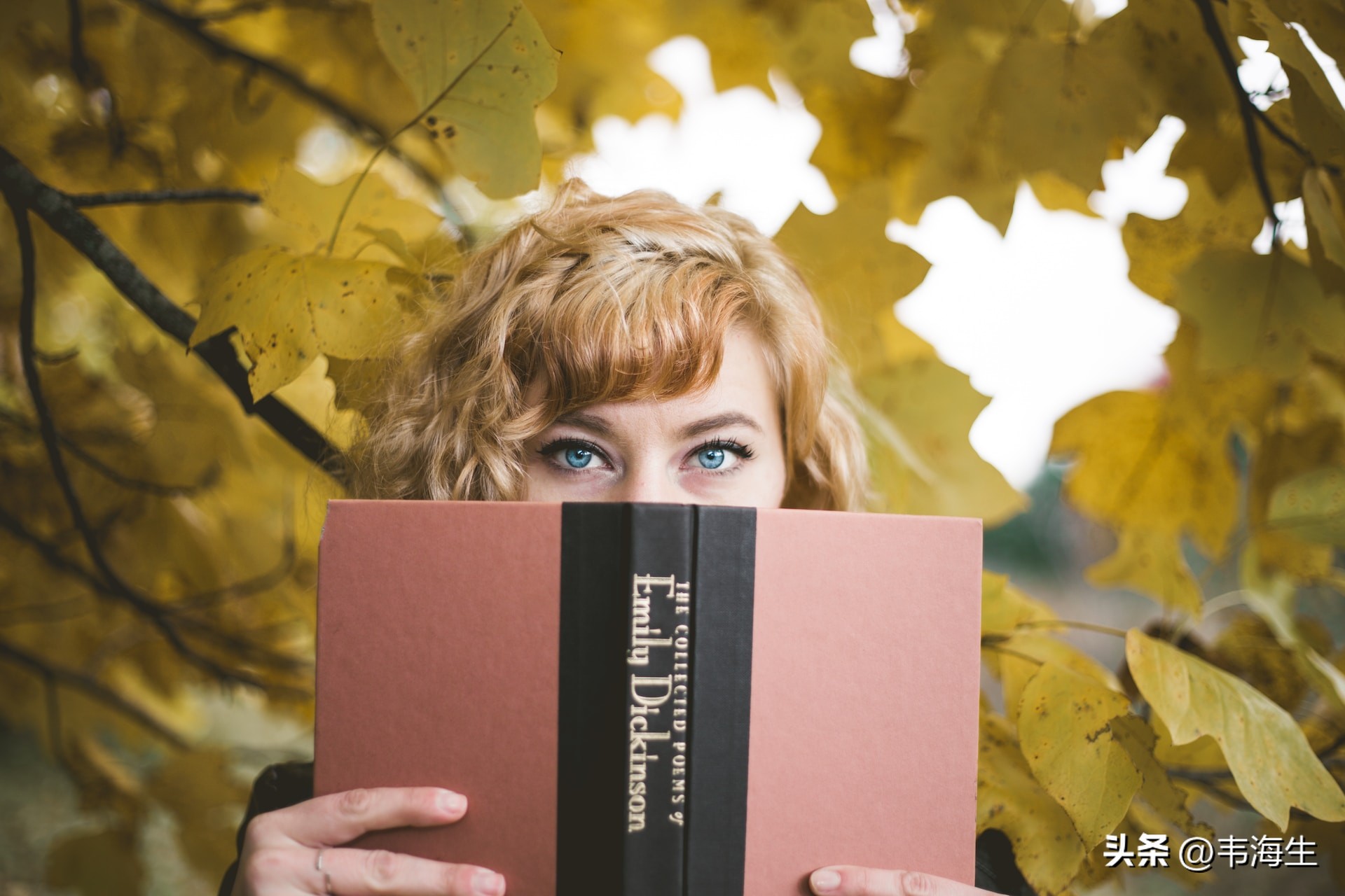 必看入门英语小说推荐,书单提升认知