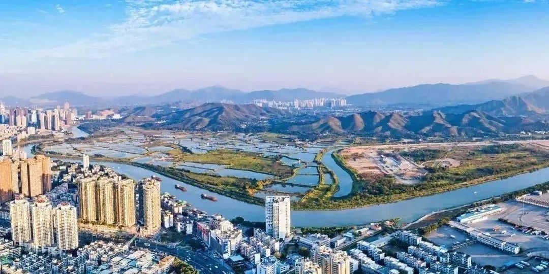 深圳中信城开红树湾新楼盘介绍,中信城开红树湾为什么便宜