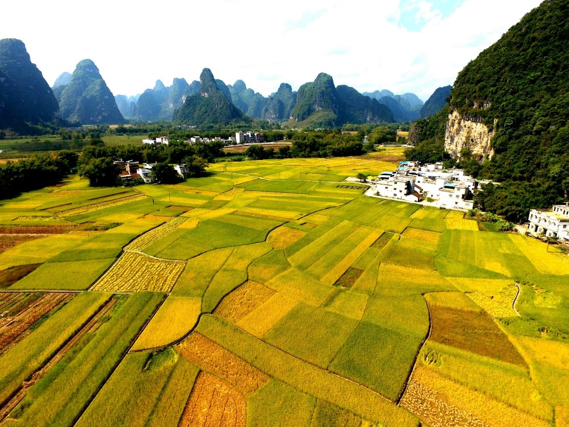 明仕田园有什么风景,明仕田园秘境度假村