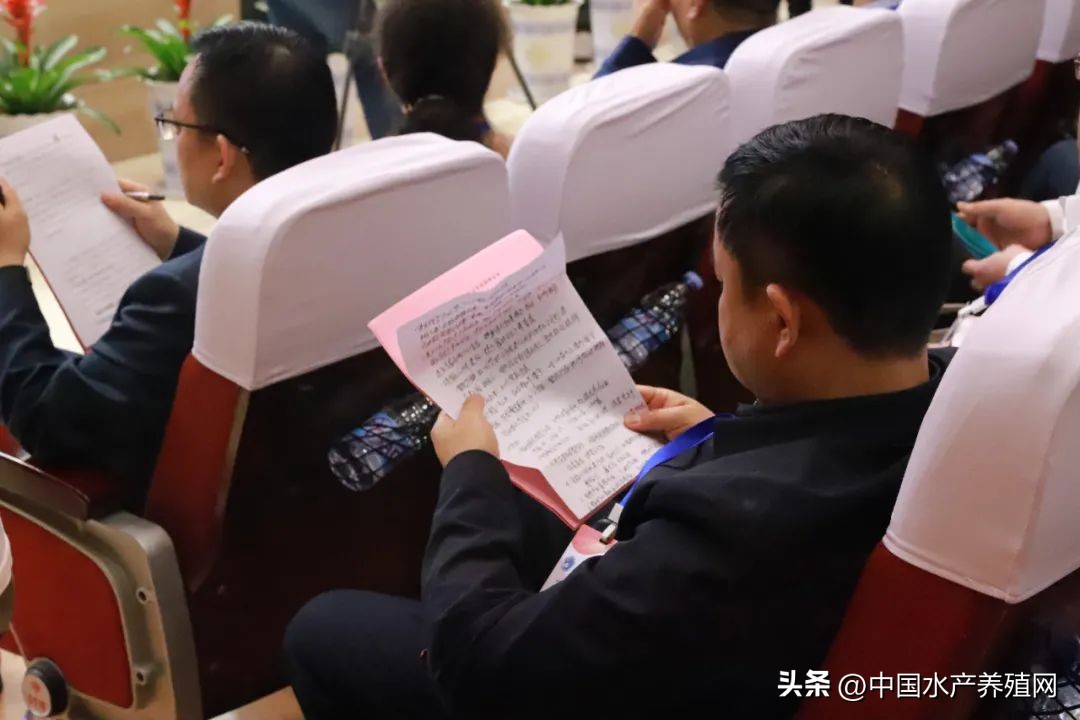 2023年南县小龙虾价格行情,南县小龙虾价格报价