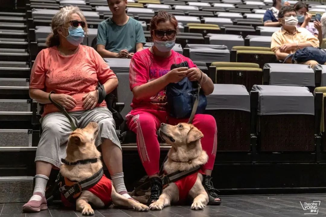 第四届中英无障碍艺术论坛圆桌回顾（上）|双向融入的平等社会