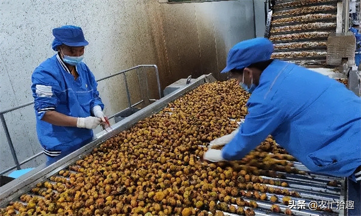 连涨3个月，一斤8元到翻倍，果子难吃也热销，果农：真意外