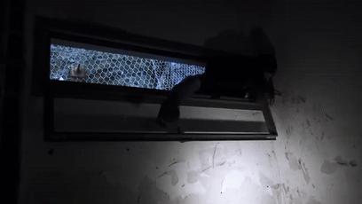 僵尸水族馆原片 (恐怖鲨鱼僵尸)