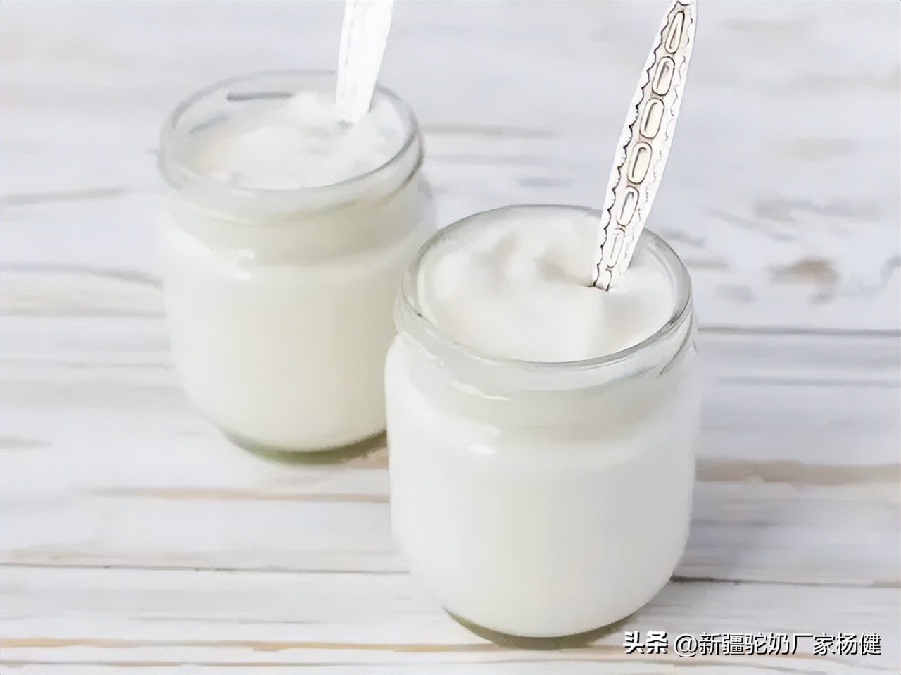 你买的是真驼奶吗,达牧优驼奶是真的吗