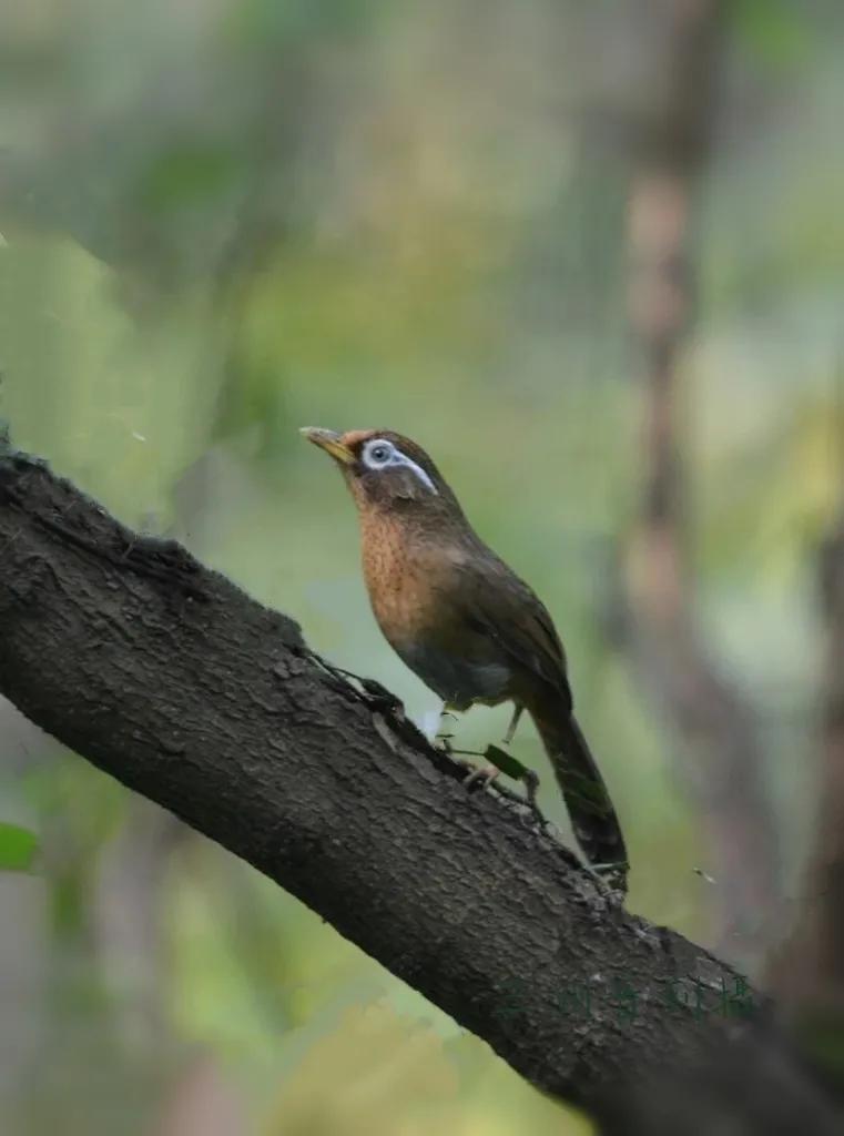 上海国际汽车城安亭,上海市嘉定区安亭国际汽车城