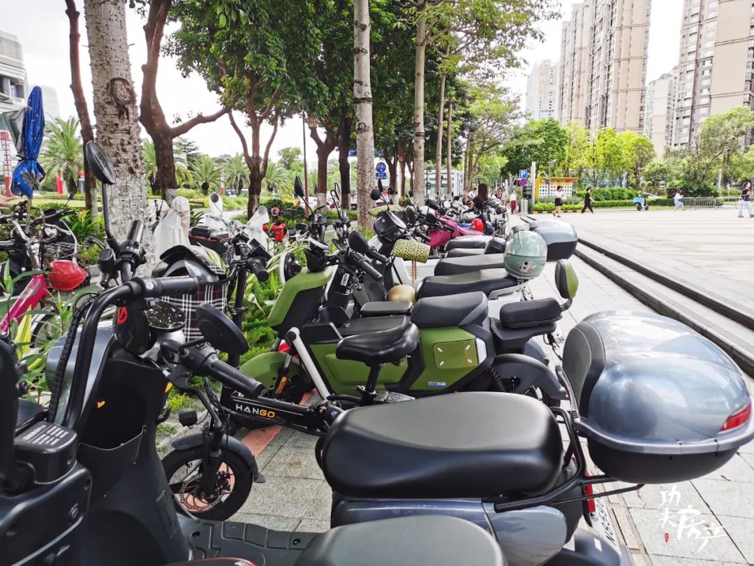 揭秘!10万+的天悦也很多*鸡电**!*鸡电**棚最豪的竟是它