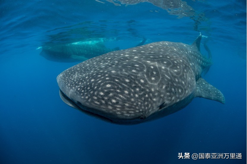 一年四季绝美风景 (关于季节性的旅游景观)