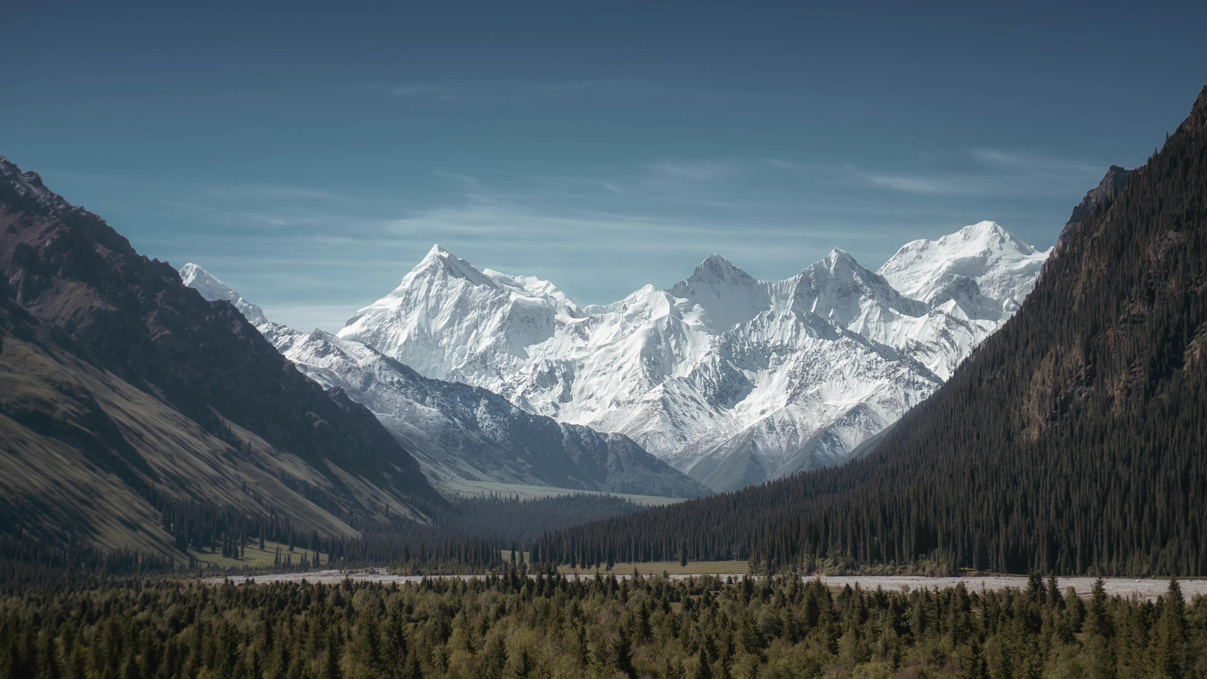 闺蜜壁纸动漫一人一张可爱,美女壁纸高清全屏动漫可爱