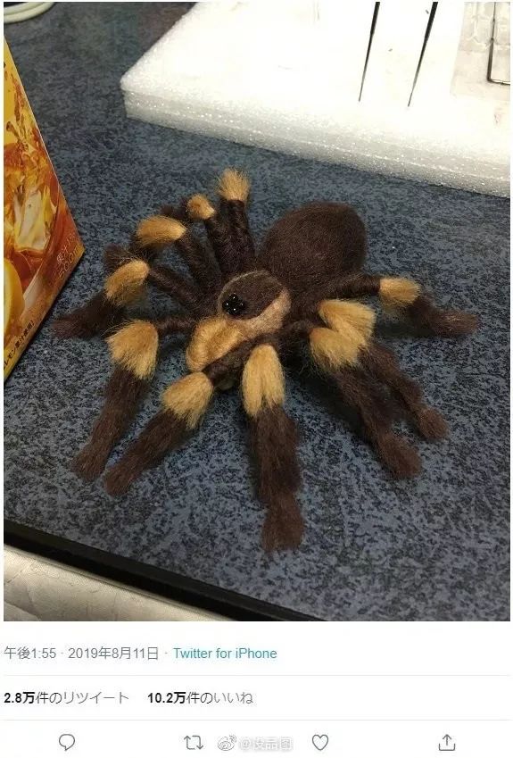 女友网上买了一件紧身裙子，这能穿的下？”网友：这也太紧了吧