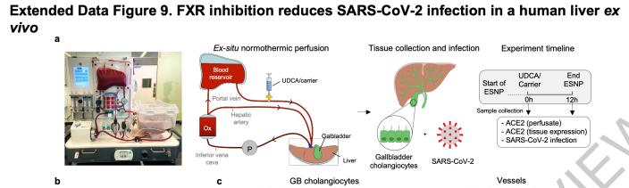 最新企业资讯(2022.12.8)这普通药能预防新冠?英国的最新研究