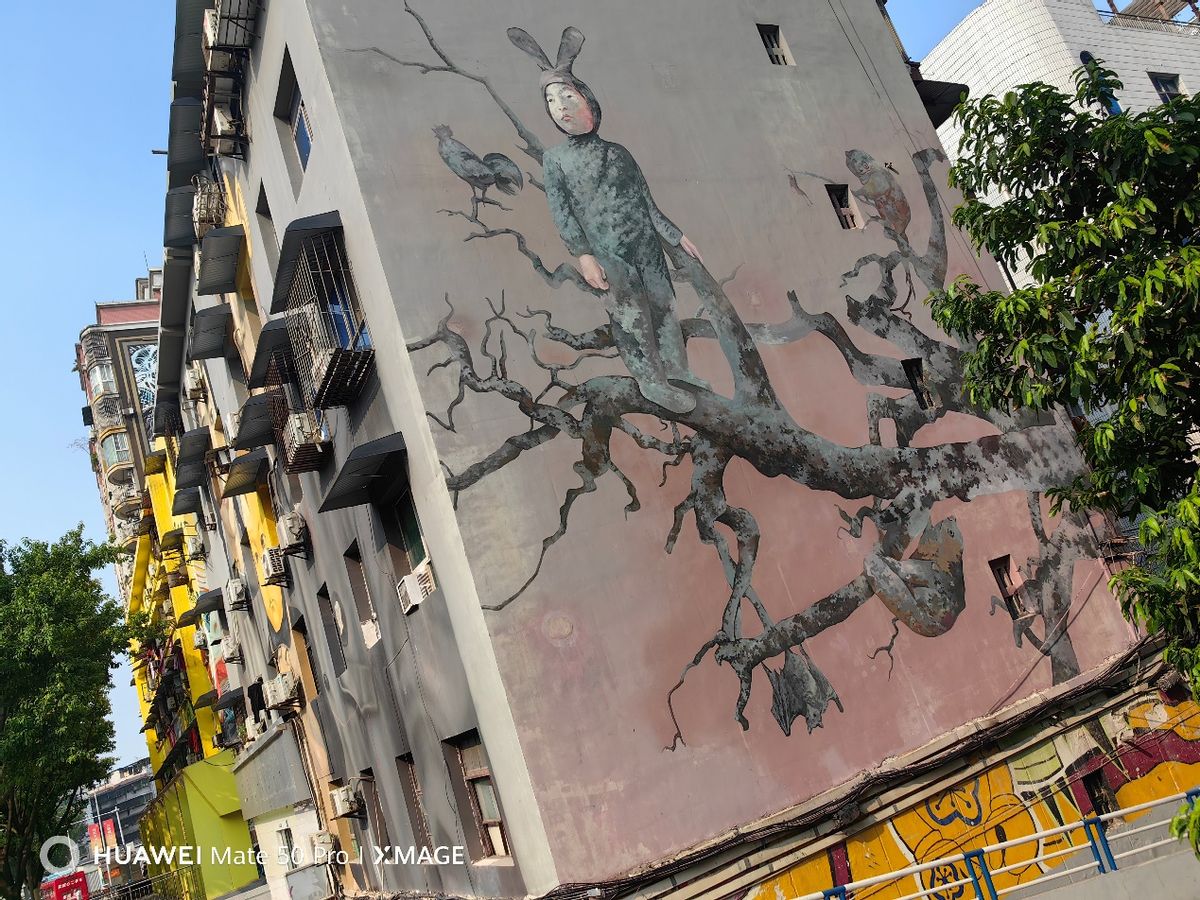 华为mate50pro霞光真实体验评测,华为mate50pro专业评测最新