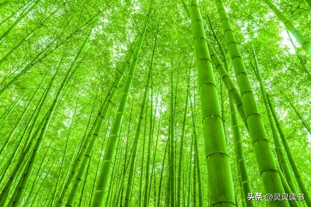 开通头条赚钱收益步骤,开通头条赚钱