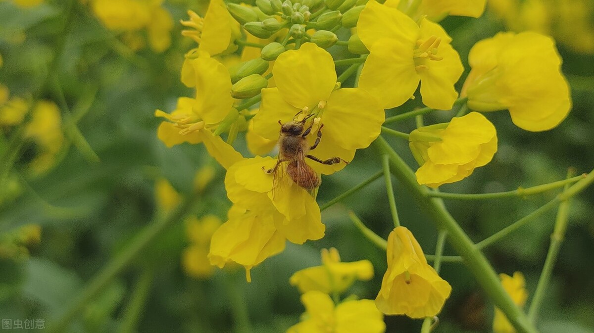 清都的原创诗词，4年作品合集，用文字记录生活