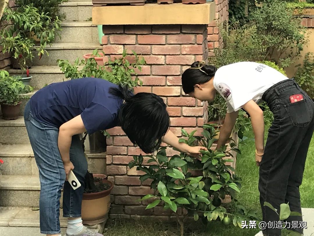 周末回访老客户的文案,回访老客户的主题