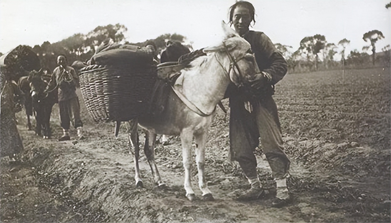 381年后终得认祖归宗的家族,流落海外381年后到中国认祖归宗