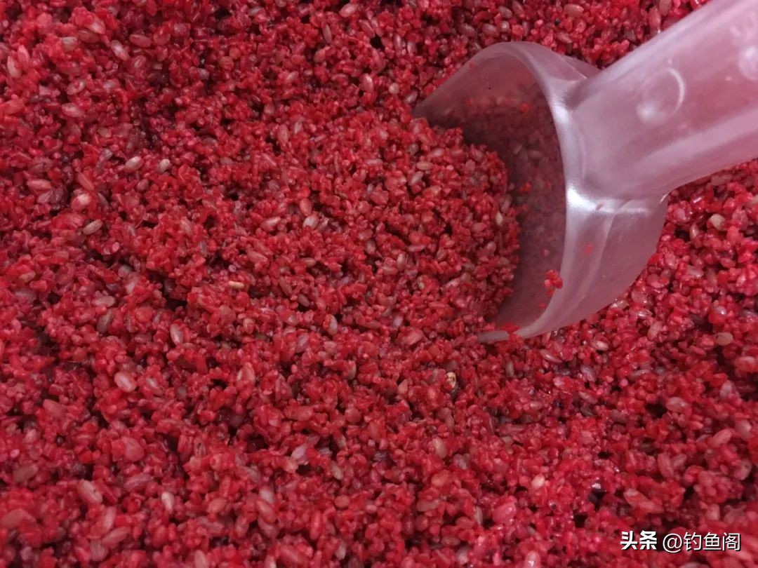 自制酒米的3大误区！这是大部分钓友都踩过的坑，别再被忽悠了