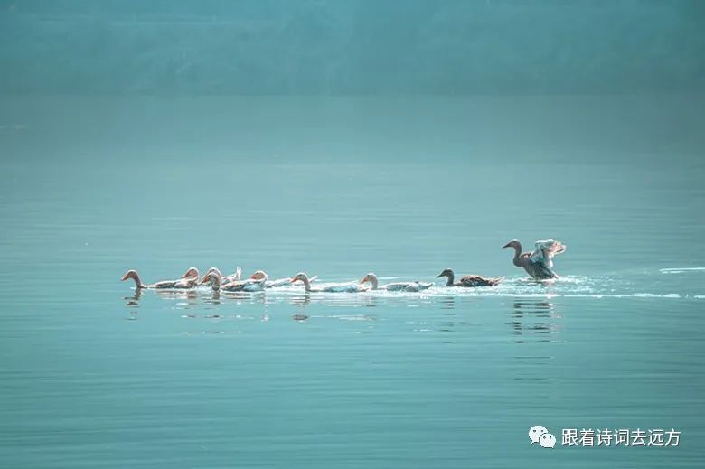 关于春天积极向上的经典诗词,七首杏花诗词惊艳了整个春天