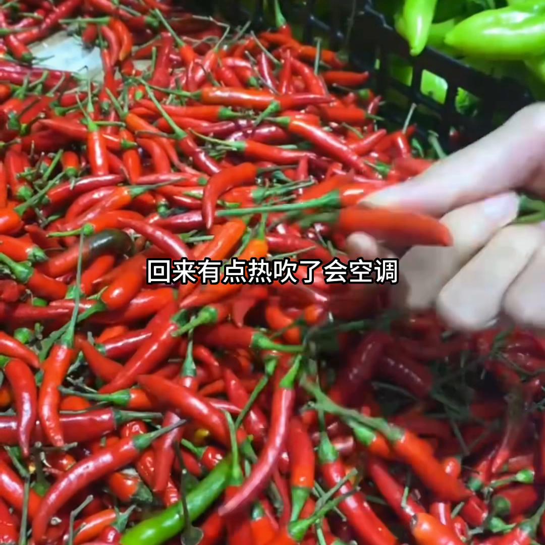 在广东的打工生活，打算换一个窗帘。换一个新的换一个心情...