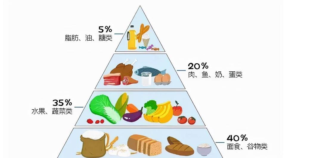 50岁身体一直没什么问题,50岁后腿脚没力