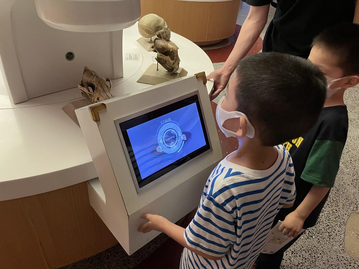 上海自然博物馆参观攻略,上海值得看的自然博物馆