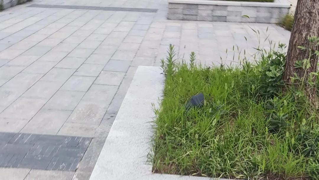 过年第一次去丈母娘家怎么送礼,过节去丈母娘家带几样东西